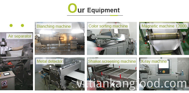 Hot Sell Air Dried Cabbage Flakes